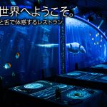 2023年12月開催！体感型レストラン「Alice inマッドティーパーティー」