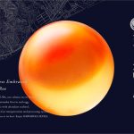 北海道・白糠町から世界へ発信する「シラリカブランド」誕生　第1弾は希少価値の高い幻の生いくら「シラリカいくら」に決定