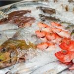 2023年9月13日（水）「アカマル屋鮮魚店 武蔵新城店」がオープン！9月10日（日）生本まぐろ解体ショーも開催！