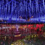 【栃木 イルミネーション2025-2026】カップル必見！冬のデートで行きたい栃木のイルミネーション10選♡