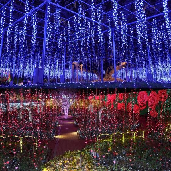 栃木 イルミネーション