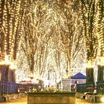 【宮城 イルミネーション】2025年に行きたいスポット10選｜写真映えも穴場をご紹介