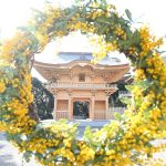 【茨城 厄払い】茨城県で厄払いができる有名な神社9選！