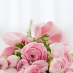 ピンクのバラの花言葉って？ピンクならではの花言葉や本数別の花言葉をご紹介します♡
