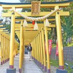 【茨城 神社】茨城県ひたちなか市の新パワースポット！ほしいも神社と周辺おすすめスポット♡