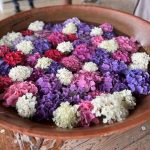 大阪の紫陽花スポット8選♡見頃時期・あじさい祭り・デートにおすすめの名所を紹介
