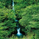 【鳥取 避暑地】夏のデートにおすすめ！豊かな自然の中で涼を楽しめる鳥取県の避暑地9選♡