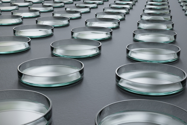 2026年版【千葉 助成金・補助金】