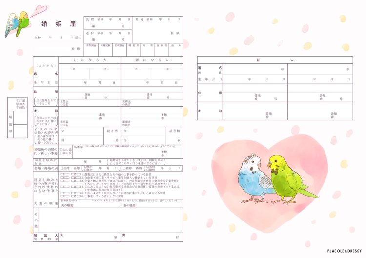 インコ婚姻届