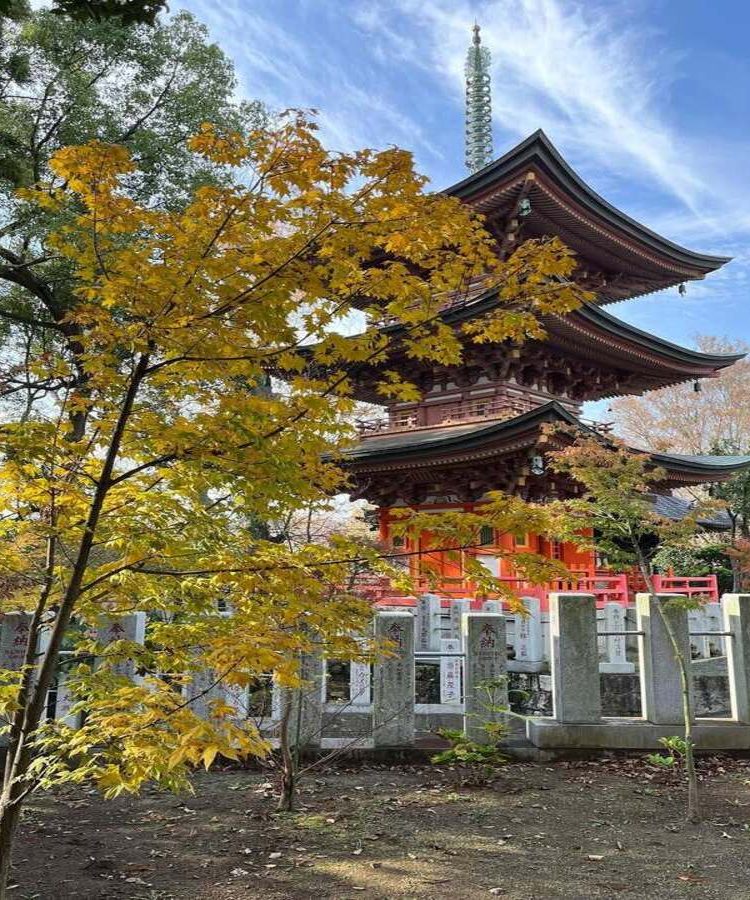 千葉 厄除け厄払い