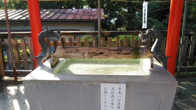 霞神社 白蛇