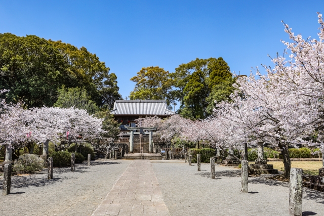 疋野神社フリー素材