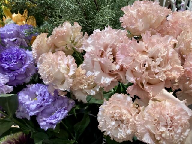 結婚記念日におすすめの花と花言葉