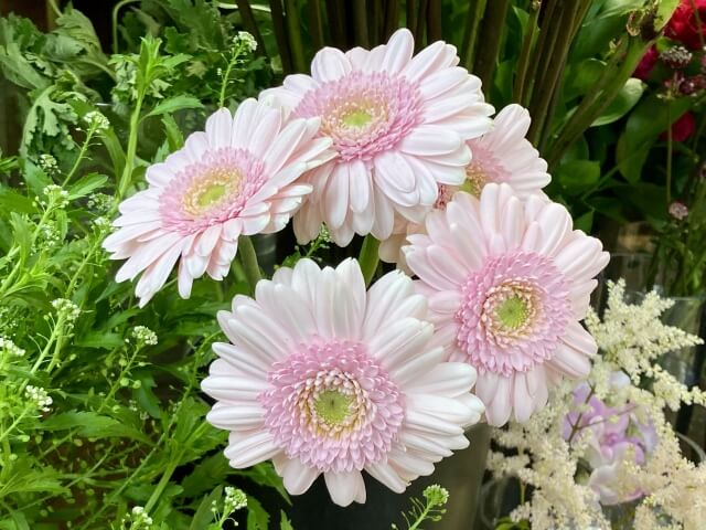 結婚記念日におすすめの花と花言葉