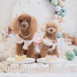 【長野 ドッグカフェ】犬と一緒に楽しめる！カフェ・ごはん・癒しの空間8選◎