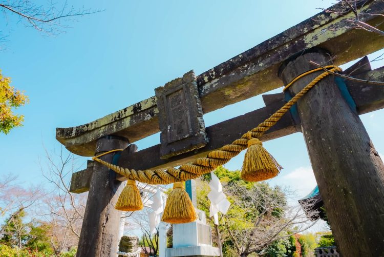 玉名市 疋野神社