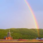 【北海道 お花畑】デートやウェディングフォトスポットにも◎北海道でおすすめのお花畑8選♡