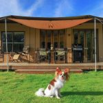 【三重 犬と泊まれる宿】愛犬と一緒に旅を楽しめる！ペットフレンドリーな宿8選