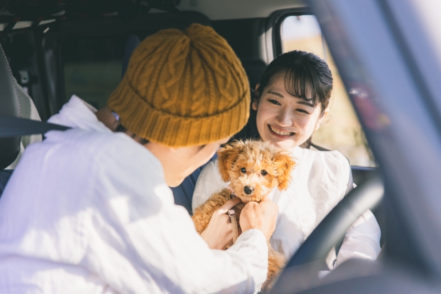 犬と一緒に旅行