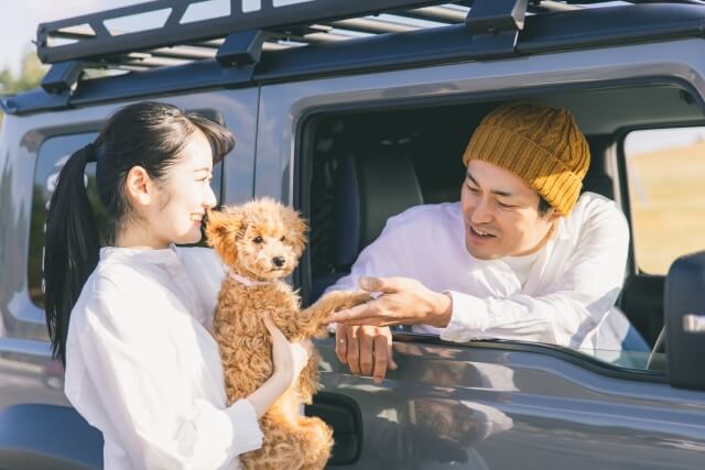 犬と一緒に旅行