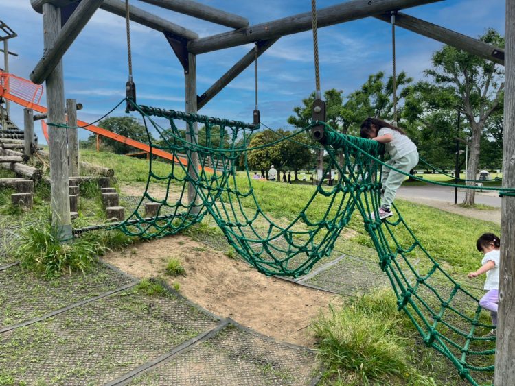 埼玉 みさと公園 アスレチック 子ども