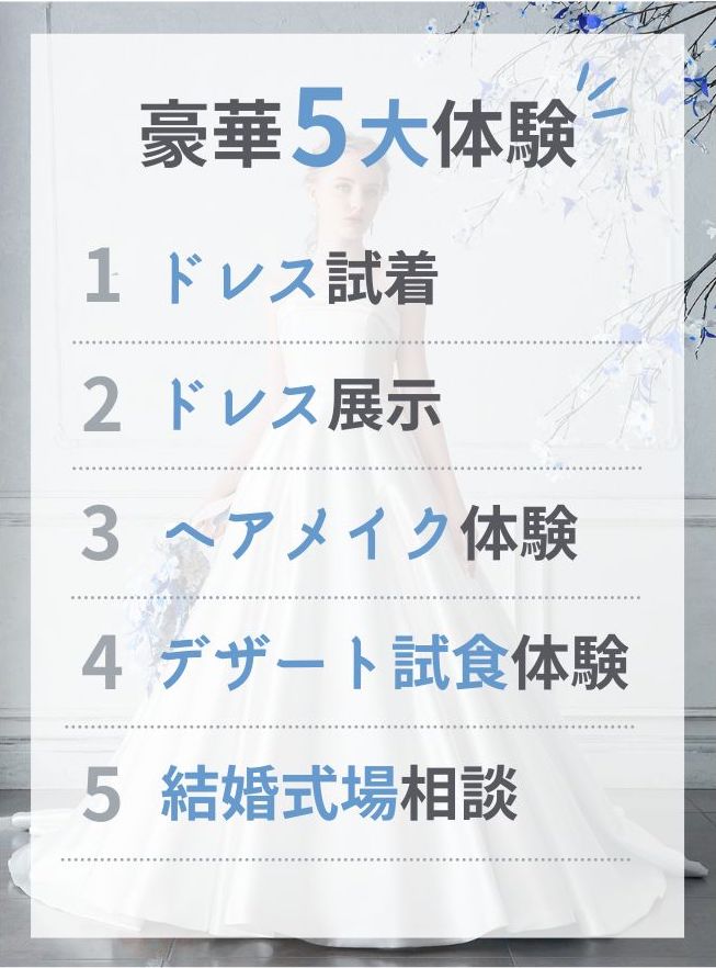 フェスの魅力的なコンテンツ
