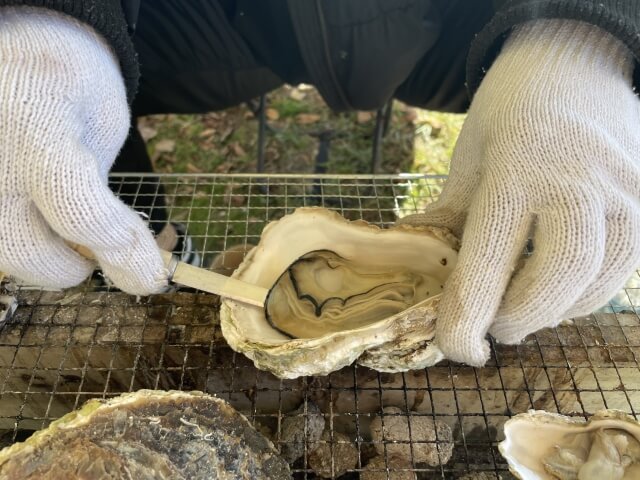 岩手　牡蠣小屋