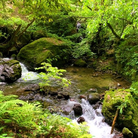 千巌渓（せんがんけい）