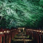 【京都 縁切り神社】悪縁をバッサリ！ご利益が評判の京都の縁切り神社8選