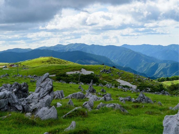 高知 避暑地 四国カルスト 高原