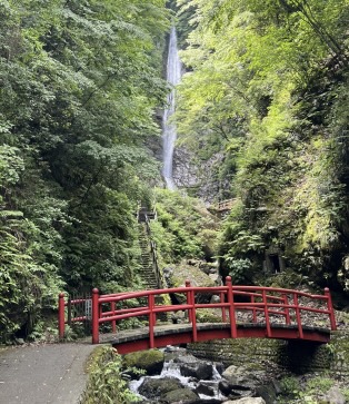神奈川県山北町の洒水の滝
