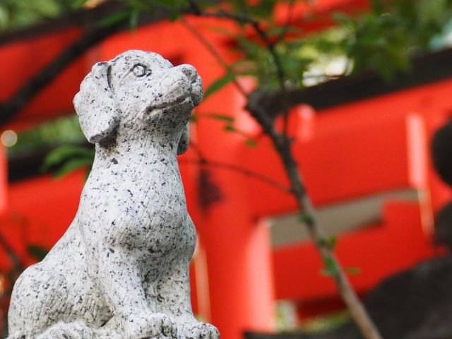 北海道　安産祈願　