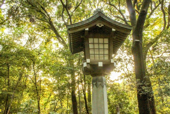 群馬 厄除け厄払い