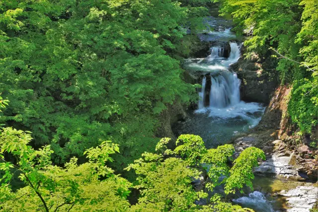 宮城　避暑地