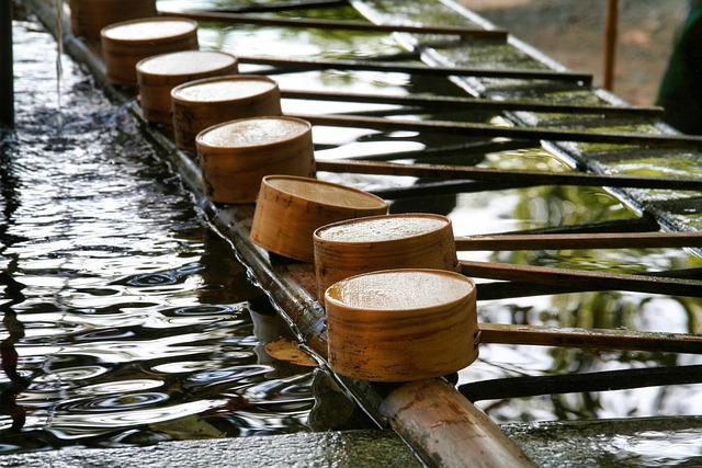 群馬県　厄除け　水澤観音