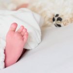 【2025年上半期(1月〜6月)】妊娠・出産発表をした芸能人まとめ｜有名人の妊娠報告・出産報告を一挙公開！