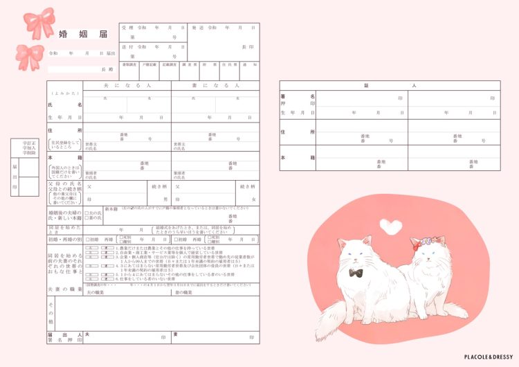 白猫　婚姻届