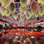 【三重 イルミネーション 2025-2026】 カップル必見!冬のロマンティックデートスポット8選