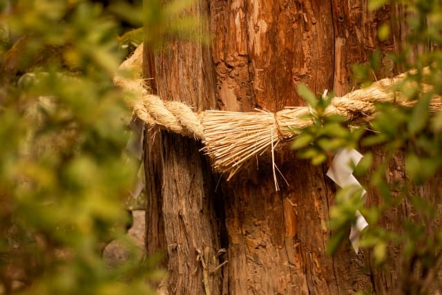 秋田 神社 初詣