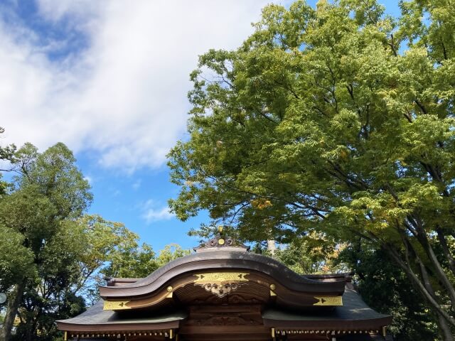 東京　初詣神社2026