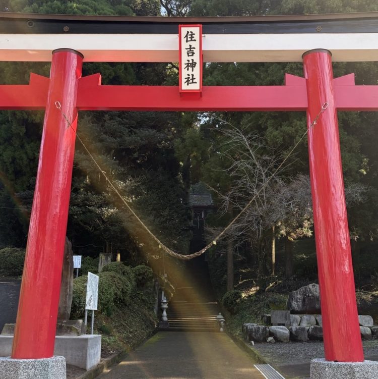鹿児島初詣神社1