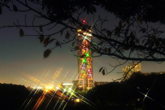 千葉 イルミネーション