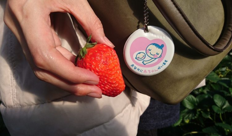 お出かけスポット