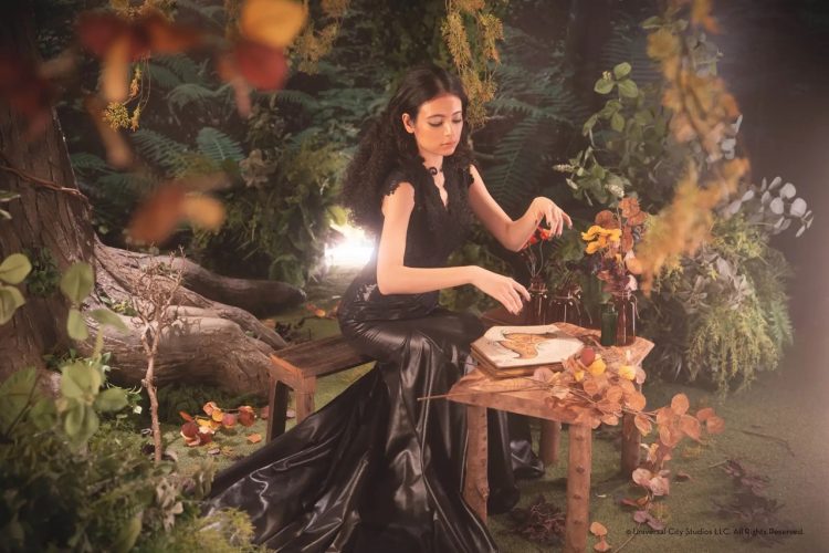 ウィキッド ドレス 「エルファバ」の隠れ家をイメージ