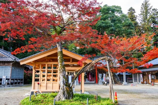 滋賀　安産祈願