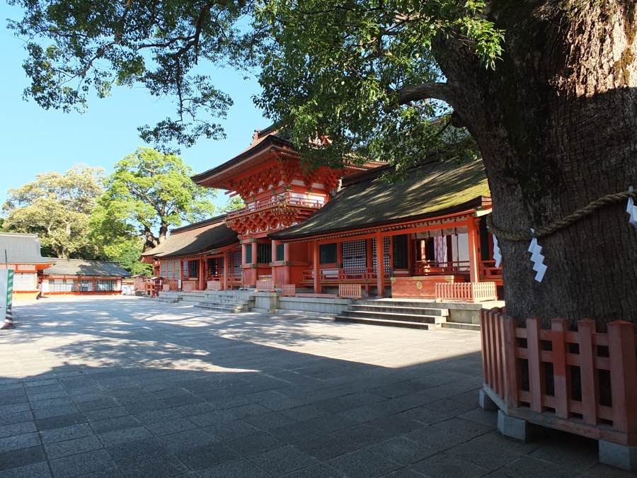 大分県の厄除け神社・宇佐神宮の本殿と御神木