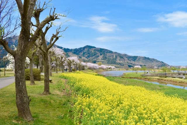 アニメの登場人物の名前に由来するエリアにある越後七浦シーサイドライン