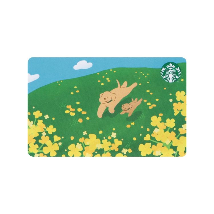 2026年最新【スタバカード デザイン一覧】スタバカードデザイン一気
