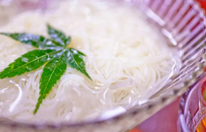 熊本 阿蘇 流しそうめん