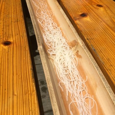徳島の流しそうめん森の小屋のイメージ